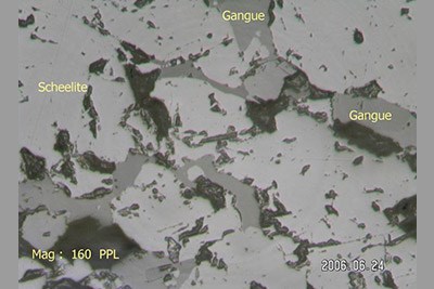 Petrography and Mineralogy